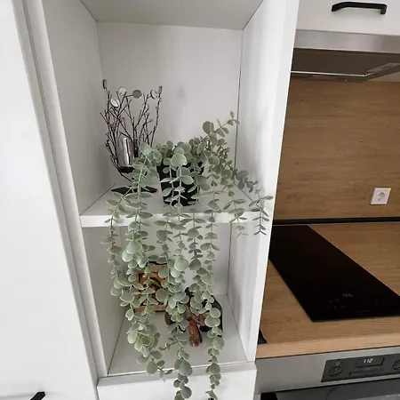 Harmony Apartment- 4 People- New Modern Flat-by The Sea * Varna