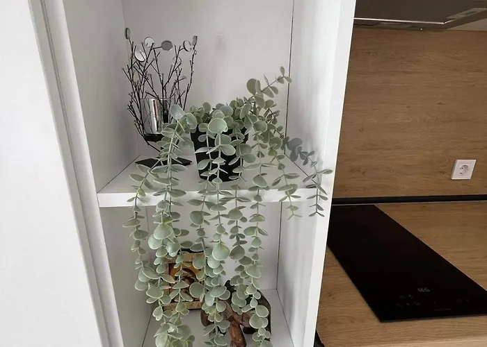 Harmony Apartment- 4 People- New Modern Flat-by The Sea * 바르나